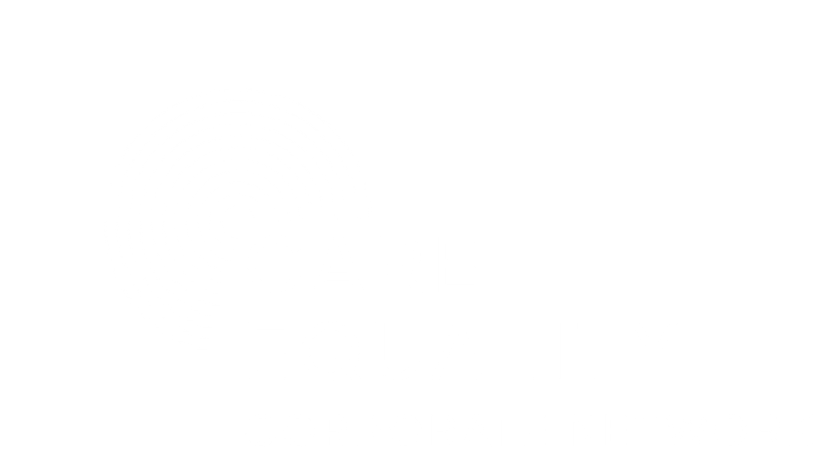 Care Equality Corporate Network